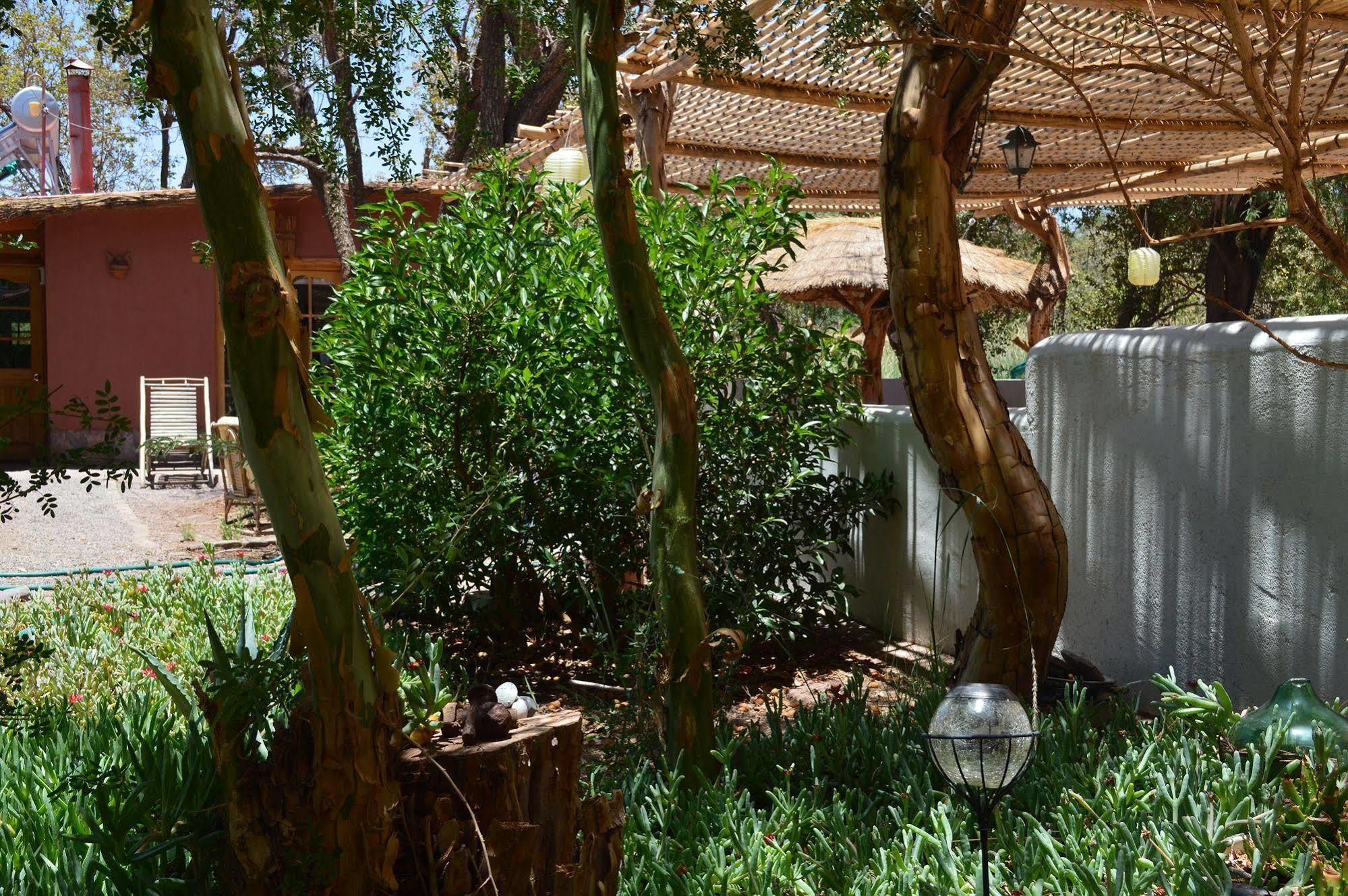 Rancho Quitapenas Bungalows San Pedro de Atacama Bagian luar foto