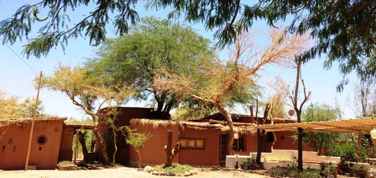 Rancho Quitapenas Bungalows San Pedro de Atacama Ruang foto